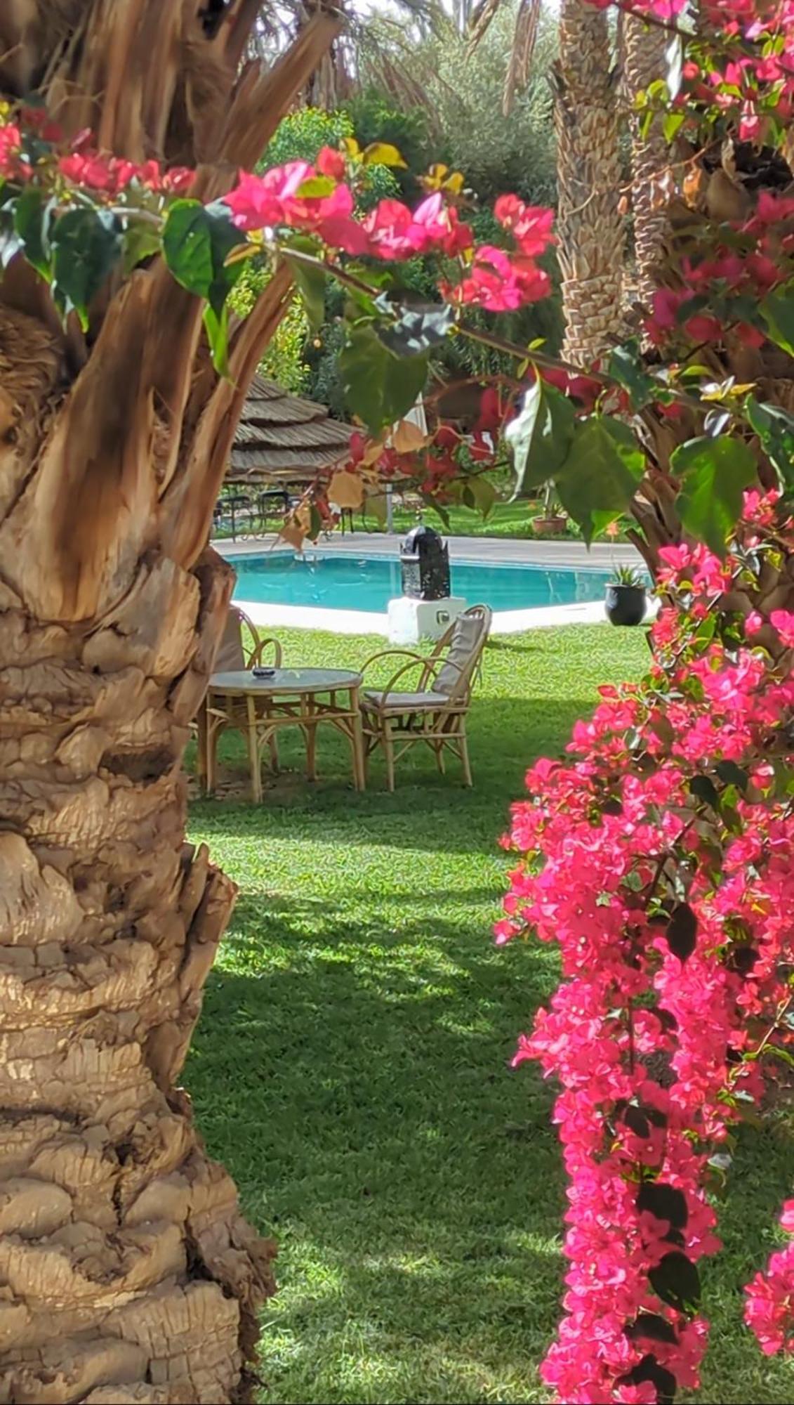 Maison D Hote Ighrem Goulmima Exteriér fotografie